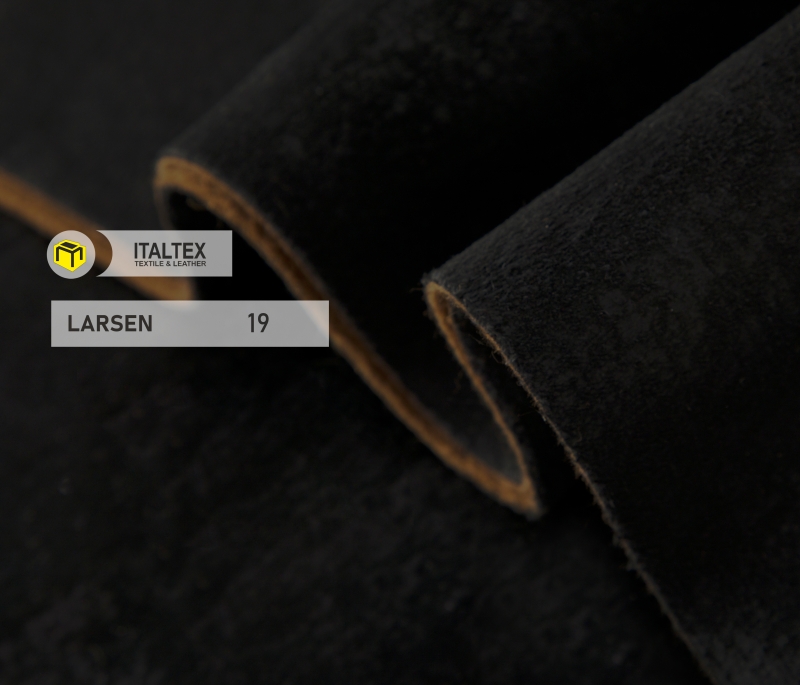 لارسن 19- LARSEN